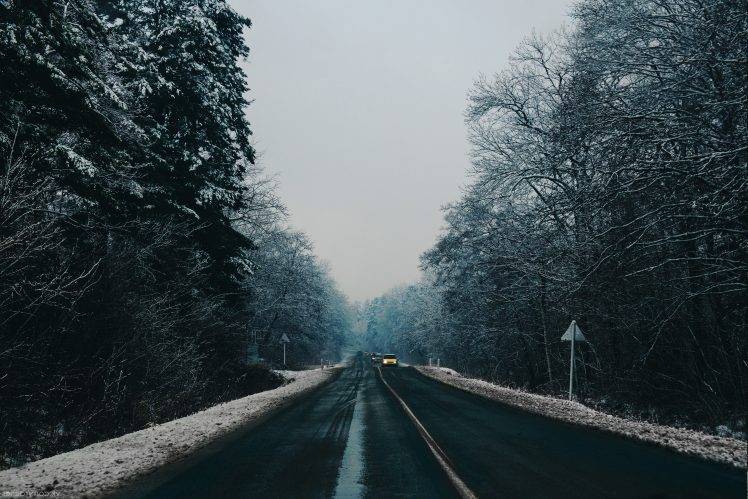 nature, Winter, Road, Trees, Snow, Landscape HD Wallpaper Desktop Background