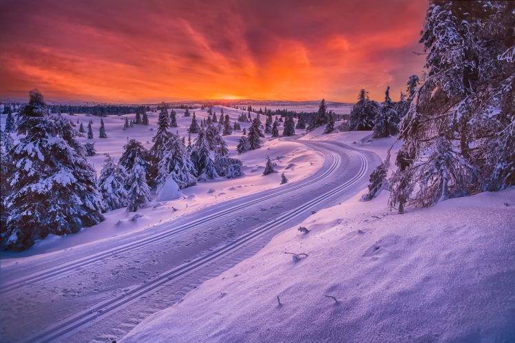 nature, Landscape, Winter, Snow, Norway, Trees, Sunset, Road HD Wallpaper Desktop Background