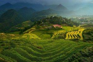 landscape, Vietnam, Terraced Field