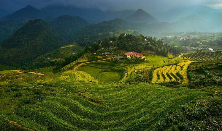 landscape, Vietnam, Terraced Field HD Wallpaper Desktop Background