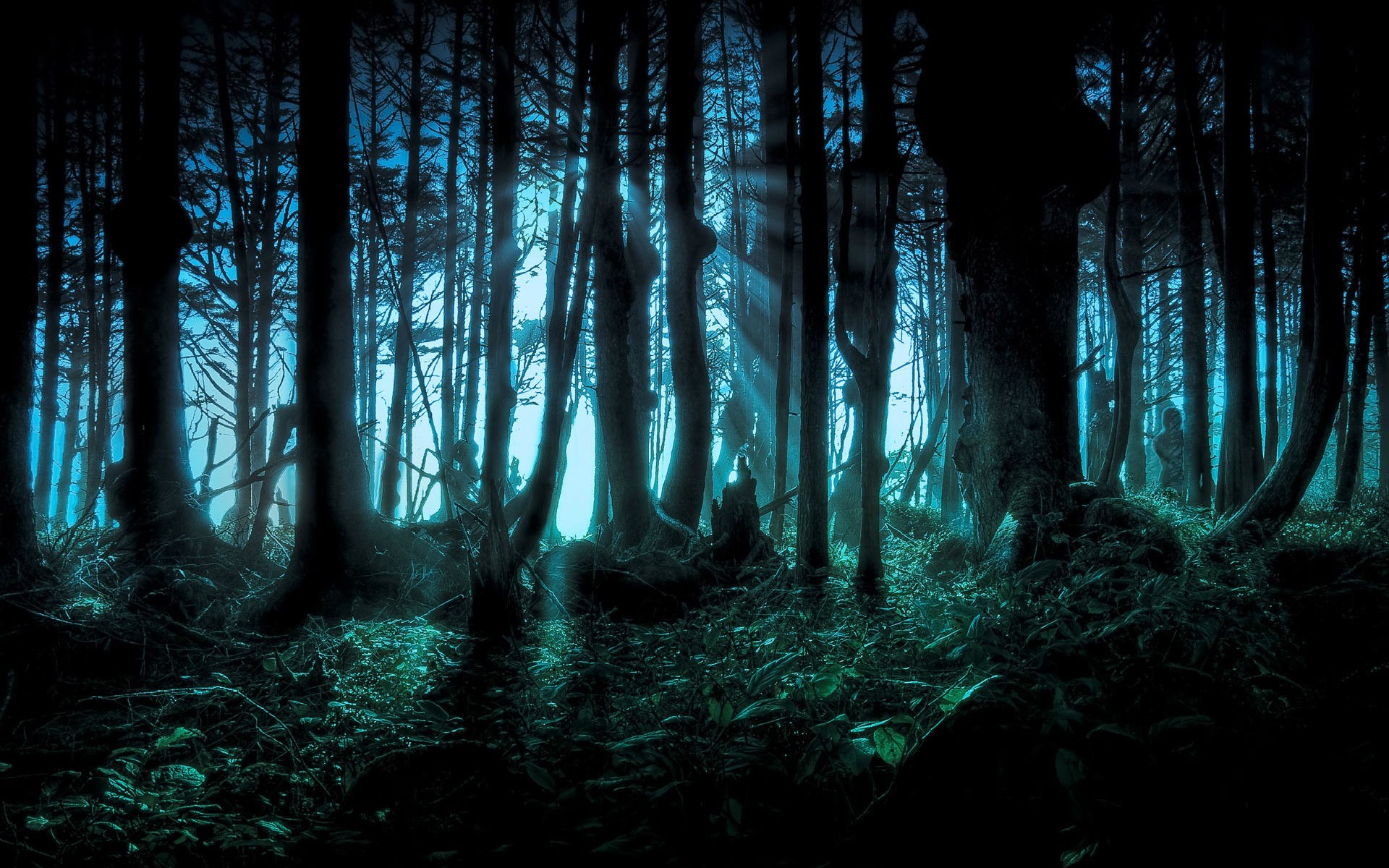 nature, Landscape, Forest, Dark, Digital Art Wallpapers HD / Desktop