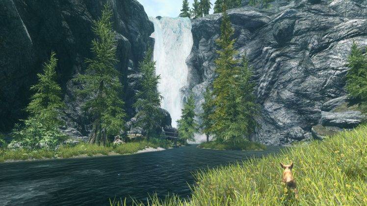 The Elder Scrolls V: Skyrim, Nature, Landscape, Trees HD Wallpaper Desktop Background
