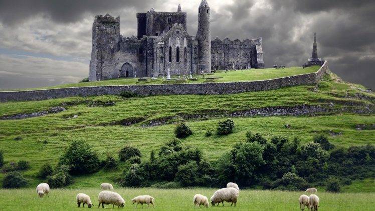 castle, Animals, Landscape, Ireland HD Wallpaper Desktop Background