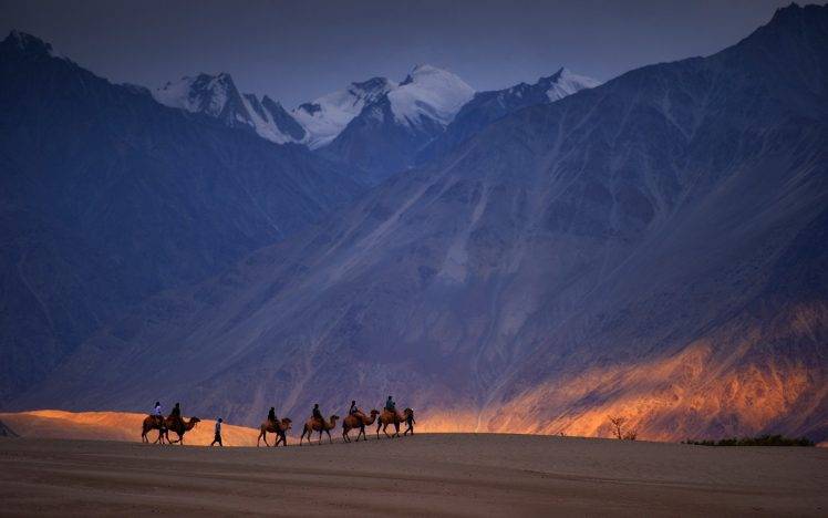 nature, Landscape, Sky, Rock, Mountain, Snow, Desert, Camels, Sunlight HD Wallpaper Desktop Background