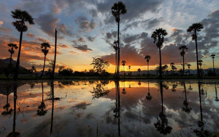 palm Trees, Reflection, Landscape, Water, Mountain, Sunset HD Wallpaper Desktop Background