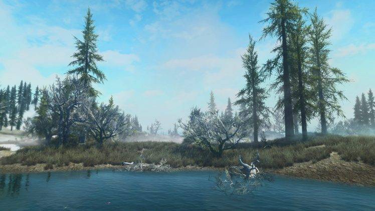 The Elder Scrolls V: Skyrim, Nature, Landscape, Water HD Wallpaper Desktop Background
