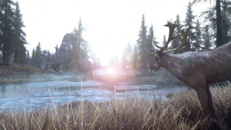 The Elder Scrolls V: Skyrim, Nature, Landscape, Water HD Wallpaper Desktop Background
