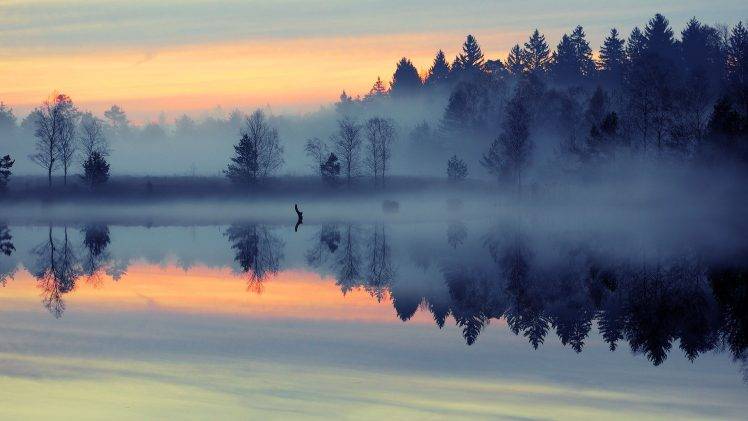 lake, Forest, Nature, Sunset, Mist, Landscape HD Wallpaper Desktop Background