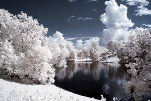 simple Background, Simple, Lake, Pond, Nature, Snow, Trees, Landscape, Infrared
