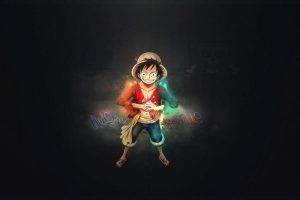 One Piece, Monkey D. Luffy, Anime