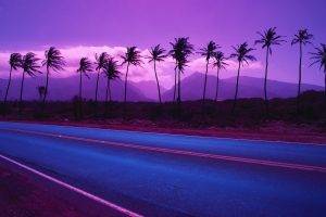 nature, Landscape, Sunset, Palm Trees, Road, Purple