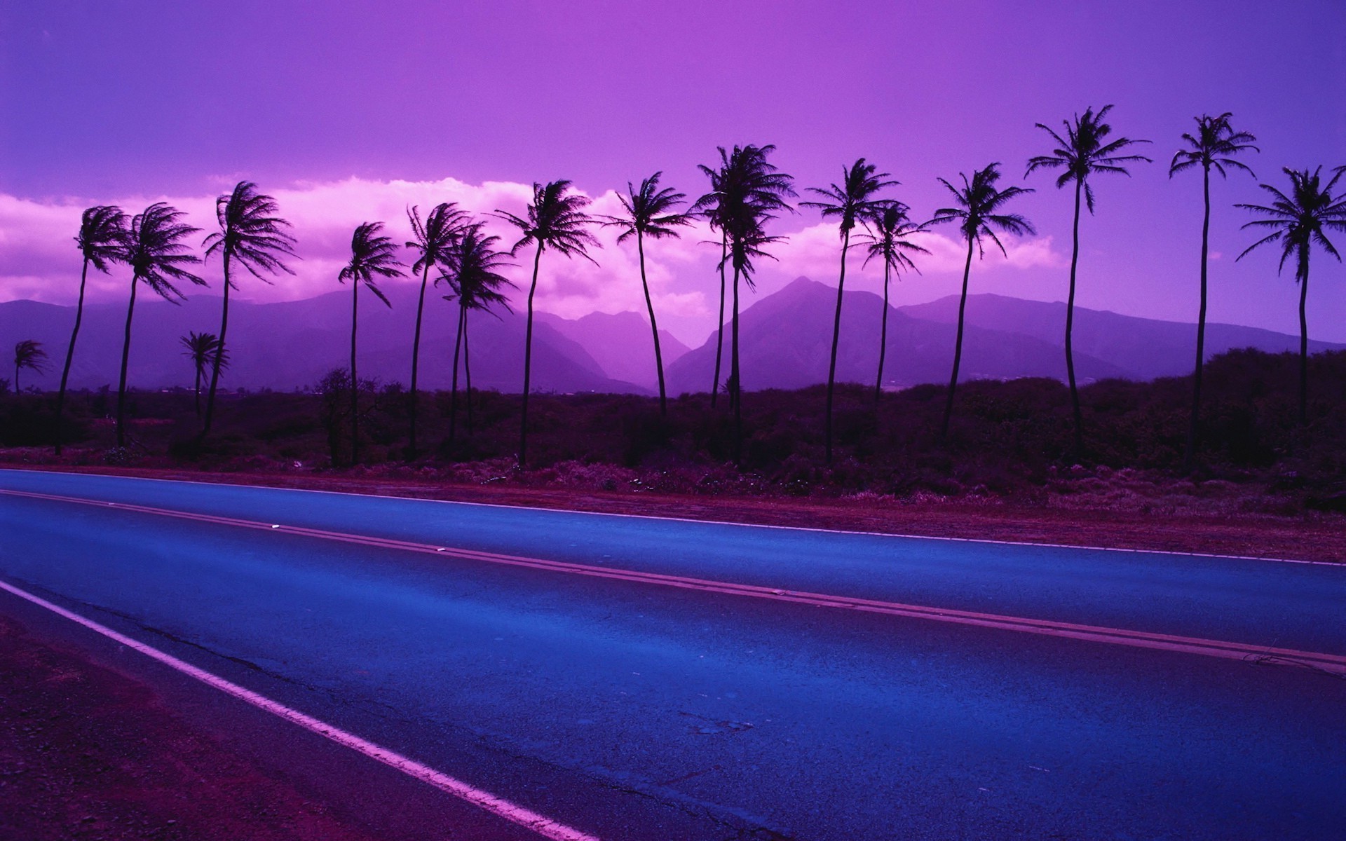 nature, Landscape, Sunset, Palm Trees, Road, Purple Wallpapers HD