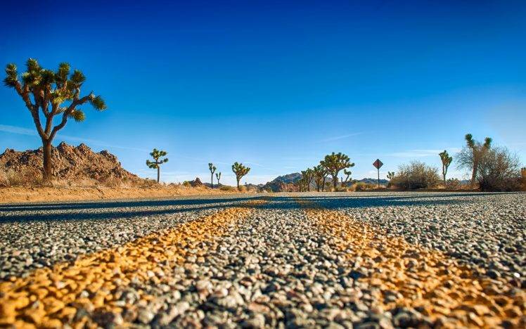 landscape, Road, Macro, Desert, Sky HD Wallpaper Desktop Background