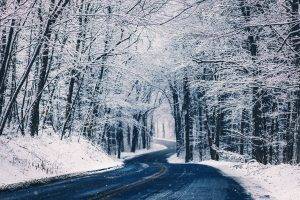 road, Landscape, Winter, Snow, Trees
