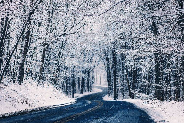 road, Landscape, Winter, Snow, Trees HD Wallpaper Desktop Background