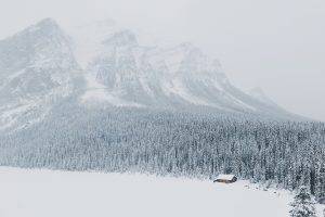 landscape, Snow, Forest, Mountain