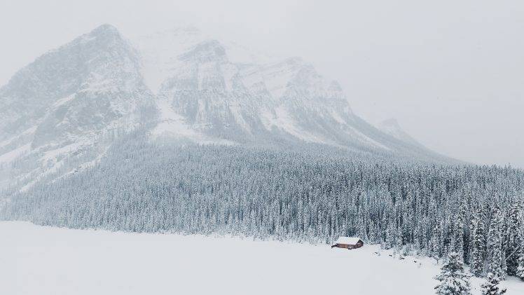 landscape, Snow, Forest, Mountain HD Wallpaper Desktop Background