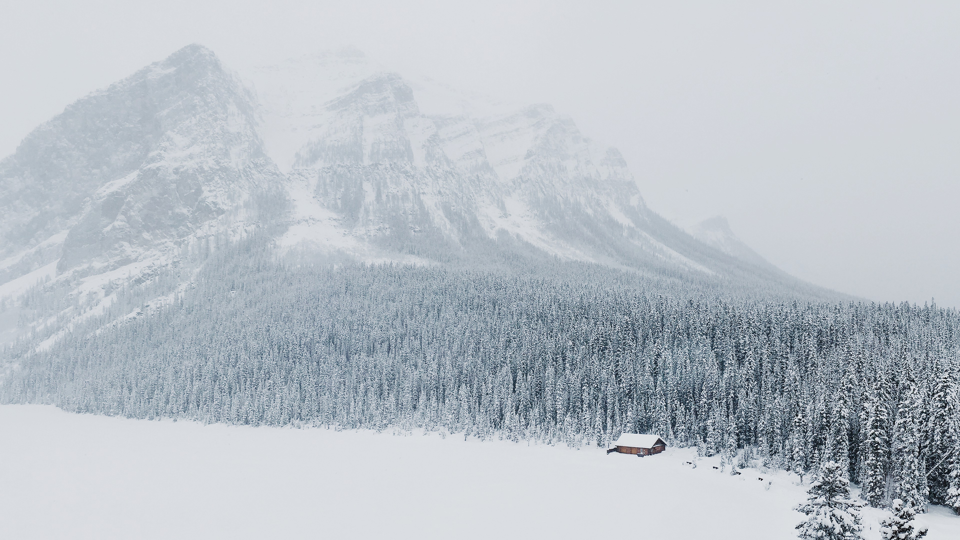 landscape, Snow, Forest, Mountain Wallpaper