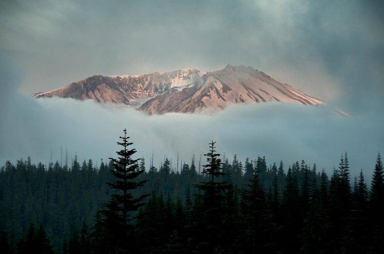 nature, Landscape, Winter, Snow, Mountain, Trees, Forest, Mist, Clouds HD Wallpaper Desktop Background