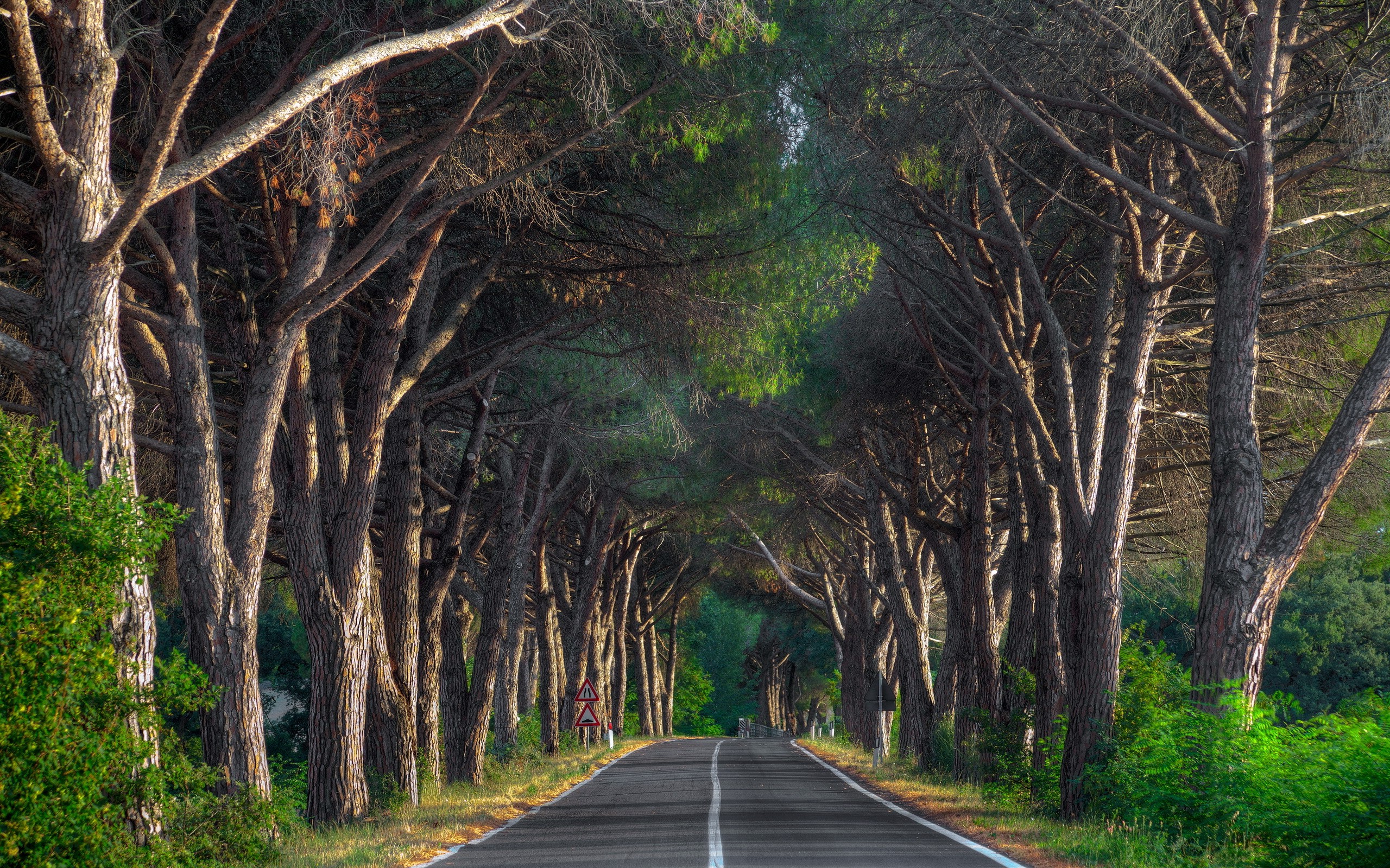 road, Landscape Wallpaper