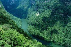 river, Landscape, Nature, Trees