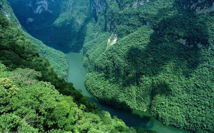 river, Landscape, Nature, Trees HD Wallpaper Desktop Background