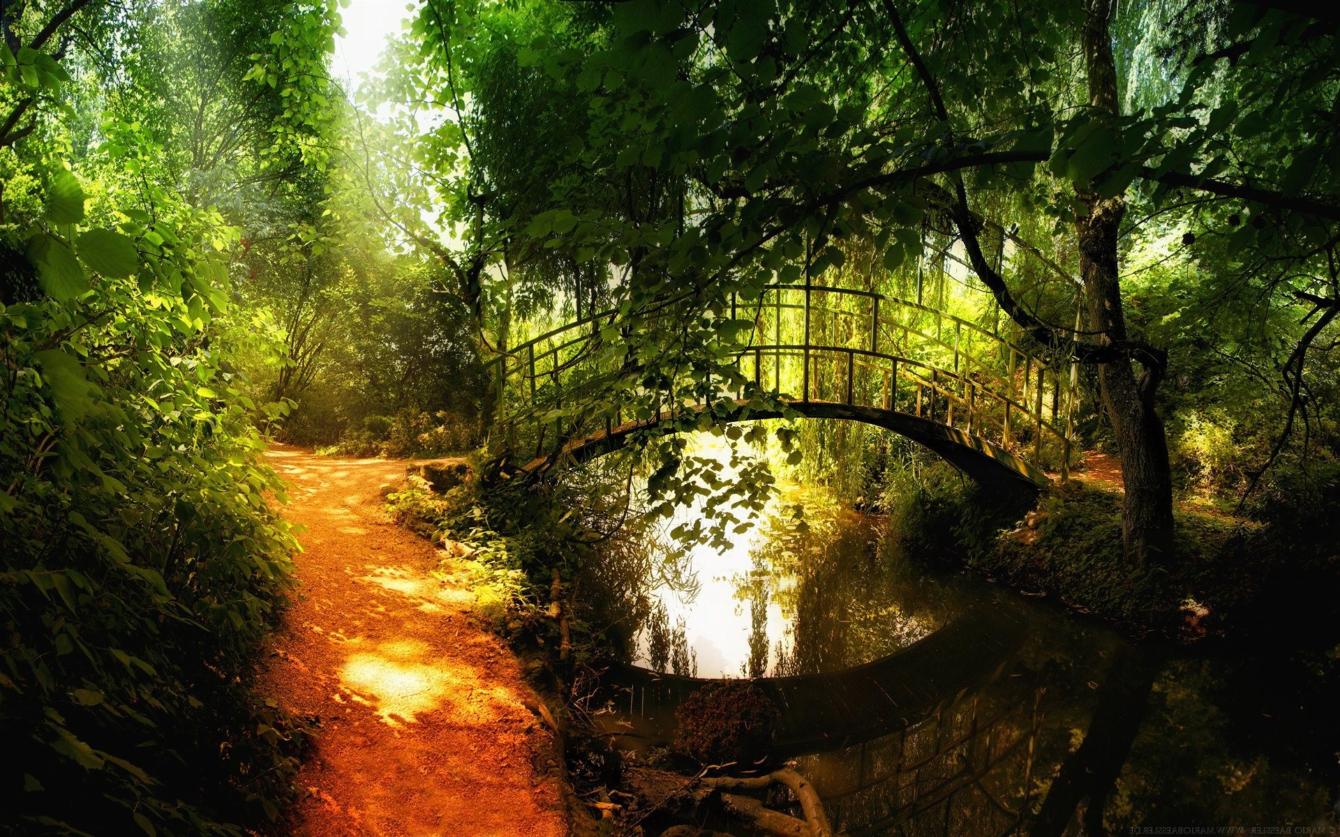 nature, Landscape, Bridge, Path, Trees, River, Plants Wallpaper