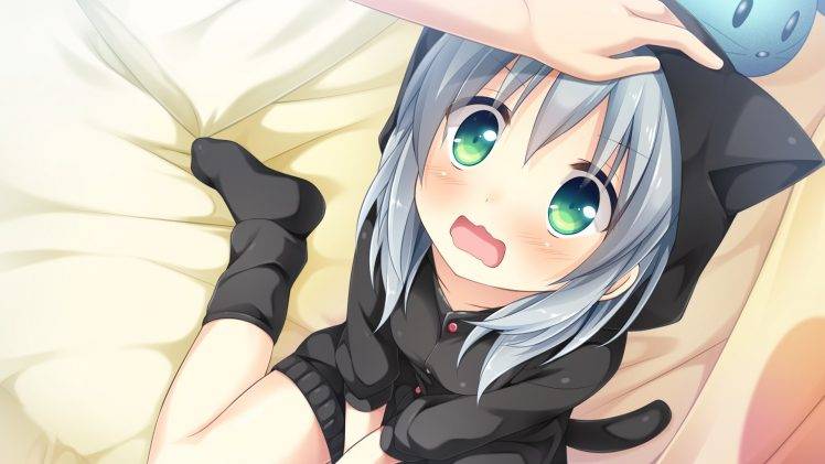 Amakoi Syrups, Anime Girls, Visual Novel, Katori Rin, Gray Hair, Green Eyes, Nekomimi, Blushing HD Wallpaper Desktop Background