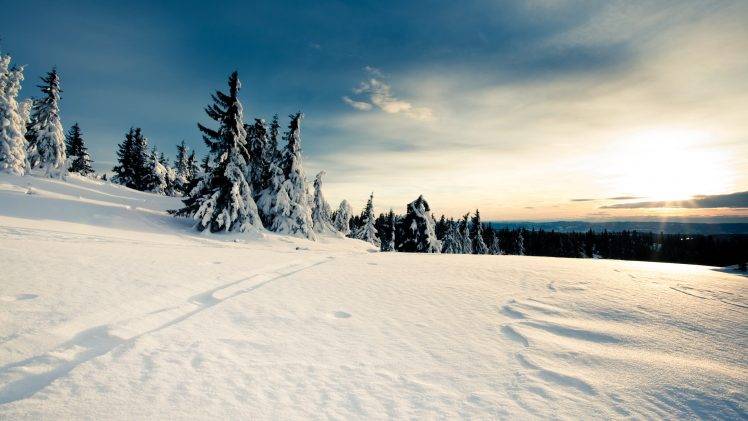 landscape, Snow, Trees HD Wallpaper Desktop Background