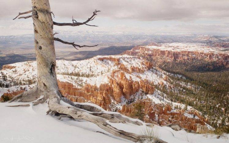 landscape, Mountain, Trees, Snow HD Wallpaper Desktop Background