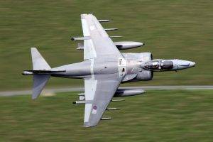 airplane, War, Military, Harrier, Grass, Aircraft