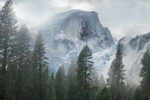 mist, Nature, Landscape, Yosemite National Park, Trees, Forest, Snow, Overcast, Clouds, USA, Mountain