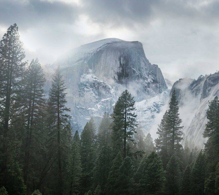 mist, Nature, Landscape, Yosemite National Park, Trees, Forest, Snow, Overcast, Clouds, USA, Mountain HD Wallpaper Desktop Background