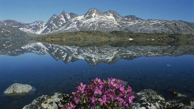 nature, Landscape, Mountain, Greenland, Water, Lake, Snow, Flowers, Stones, Reflection, Rock HD Wallpaper Desktop Background