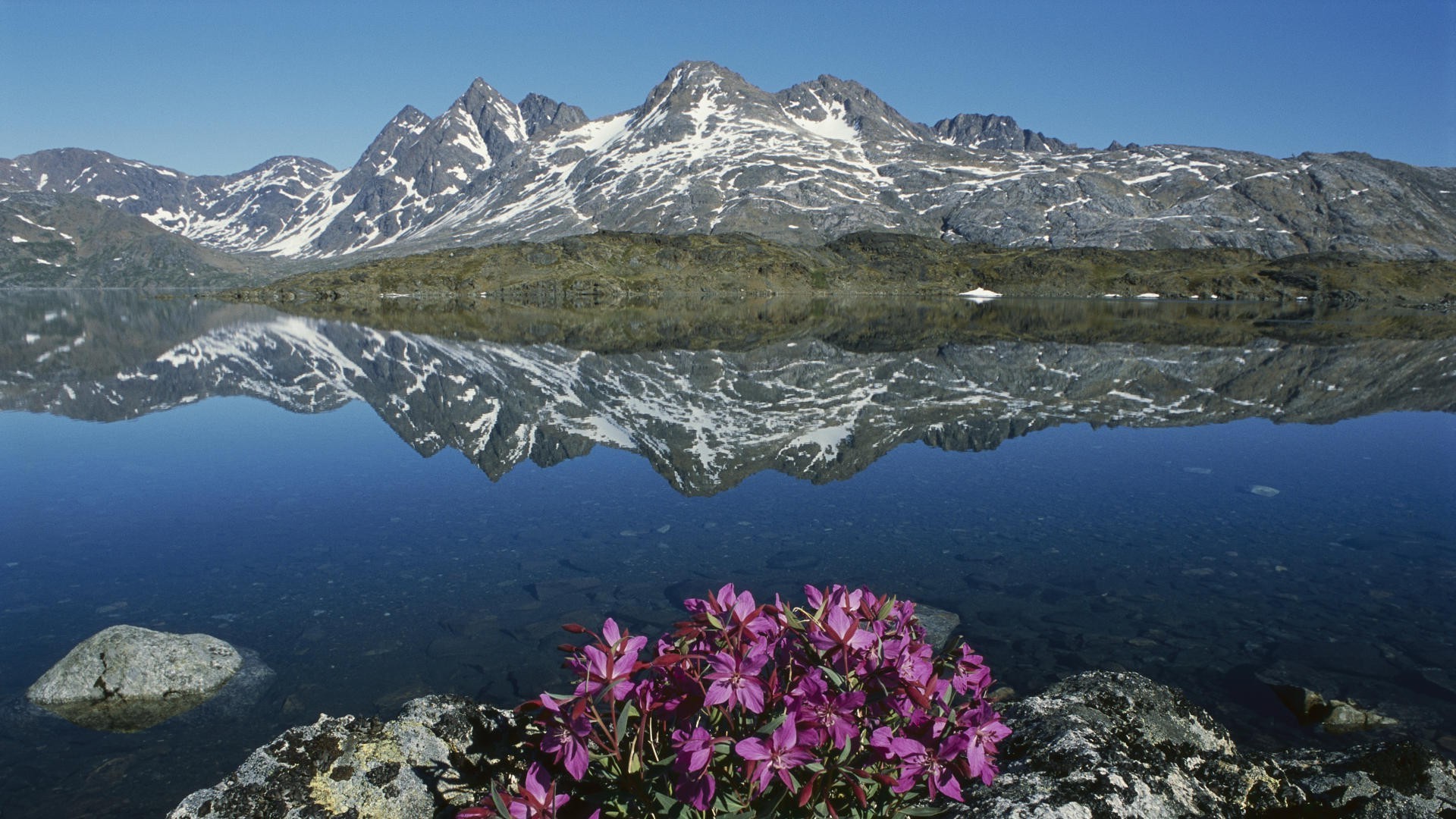 nature, Landscape, Mountain, Greenland, Water, Lake, Snow, Flowers, Stones, Reflection, Rock Wallpaper