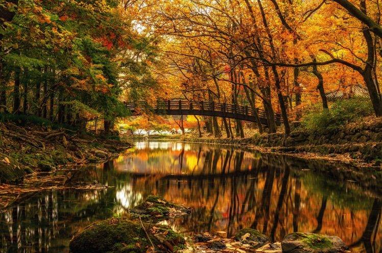 nature, Landscape, Water, Trees, Forest, River, Bridge, Fall, Branch, Stones, Reflection HD Wallpaper Desktop Background