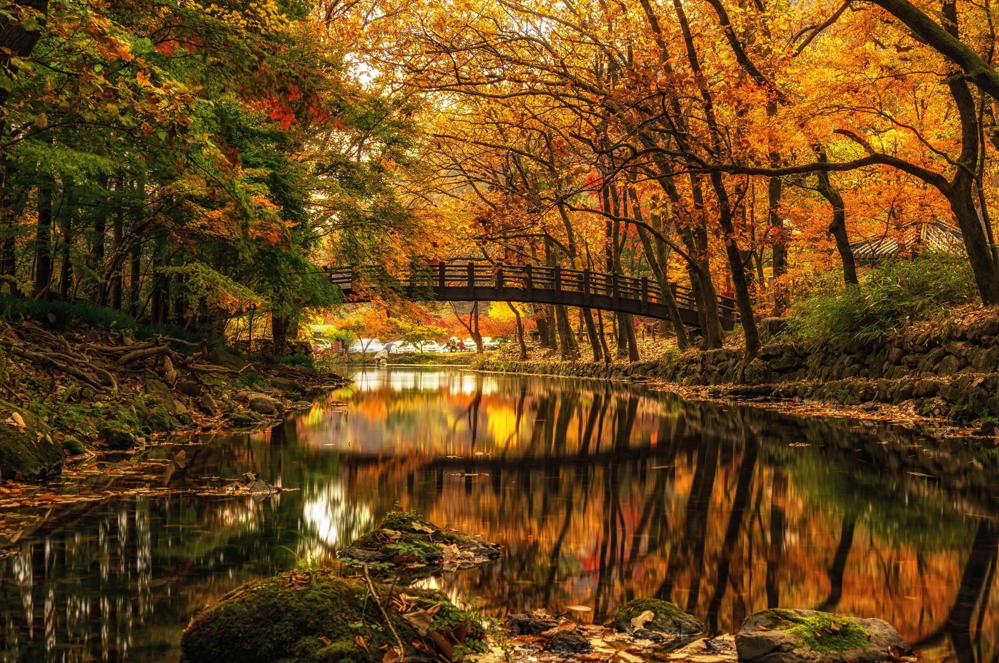nature, Landscape, Water, Trees, Forest, River, Bridge, Fall, Branch, Stones, Reflection Wallpaper