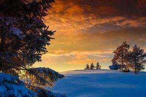 nature, Landscape, Winter, Snow, Norway, Trees, Sunset, Clouds, Hill, Rock