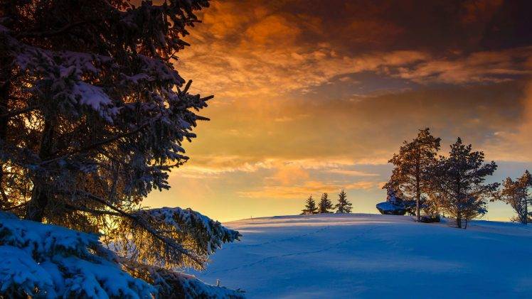 nature, Landscape, Winter, Snow, Norway, Trees, Sunset, Clouds, Hill, Rock HD Wallpaper Desktop Background