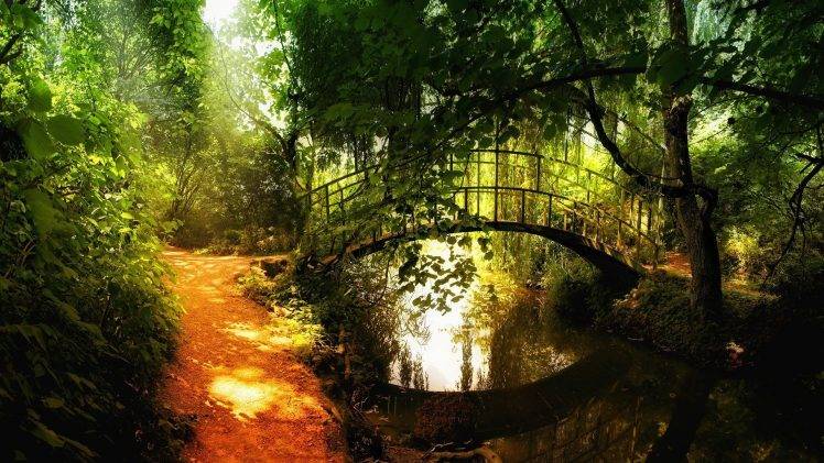 nature, Landscape, Trees, Forest, Bridge, Sunlight, River, Reflection HD Wallpaper Desktop Background