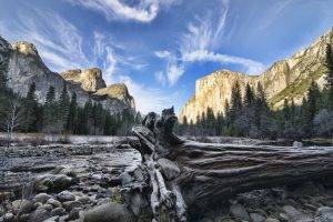 nature, Landscape, Mountain, Trees, Forest, Lake, Clouds, Branch, Stones, Yosemite National Park, USA, Dead Trees