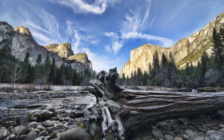 nature, Landscape, Mountain, Trees, Forest, Lake, Clouds, Branch, Stones, Yosemite National Park, USA, Dead Trees HD Wallpaper Desktop Background