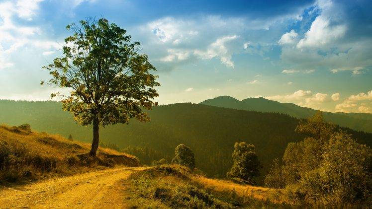 landscape, Nature, Trees, Road HD Wallpaper Desktop Background