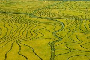 nature, Landscape, Green, Field, River, Bird's Eye View, Rice Paddy, Aerial View