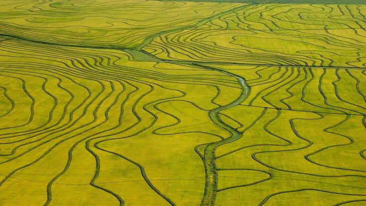nature, Landscape, Green, Field, River, Bird’s Eye View, Rice Paddy, Aerial View HD Wallpaper Desktop Background