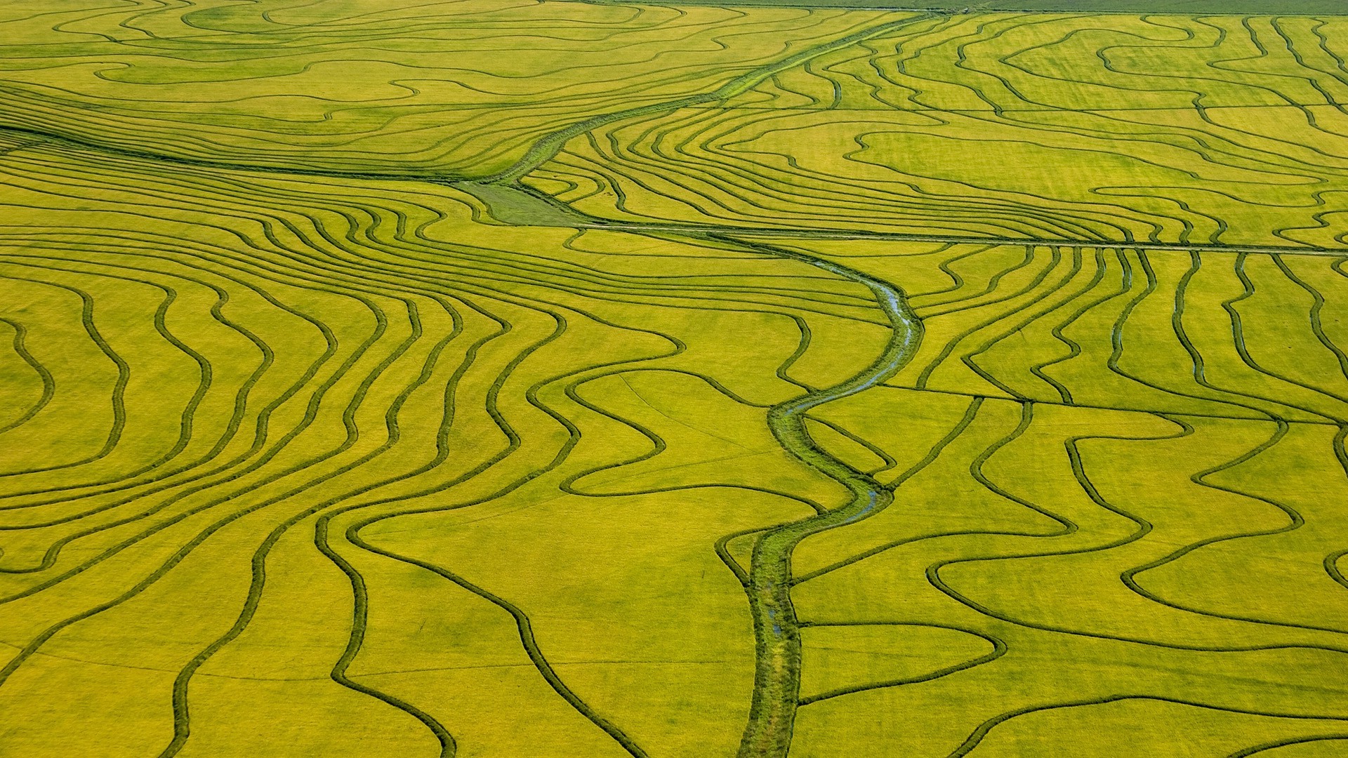 nature, Landscape, Green, Field, River, Bird's Eye View, Rice Paddy, Aerial View Wallpaper
