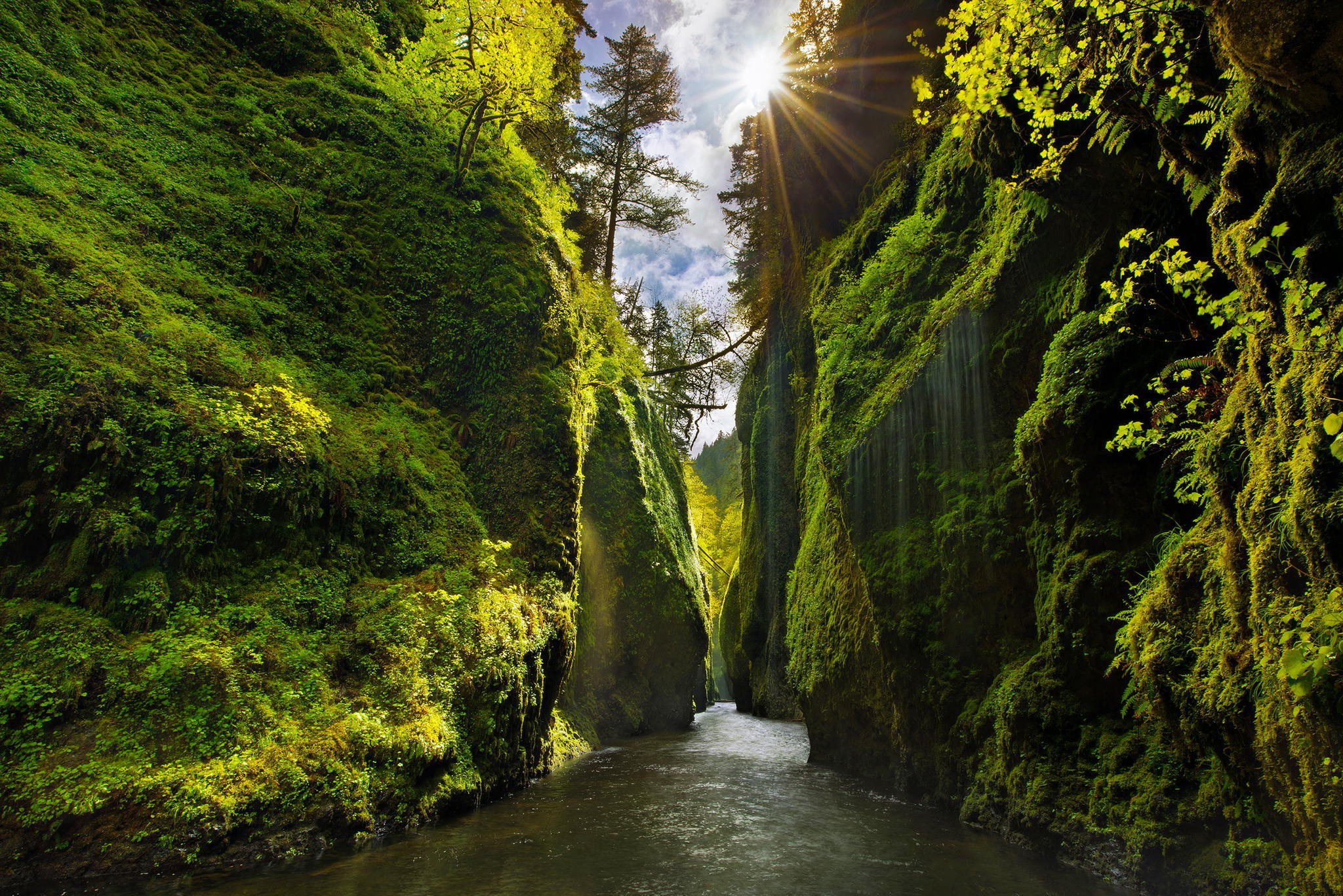 nature, Landscape, River, Sun, Sunlight, Trees, Clouds, Oregon, USA, Valley, Canyon, Leaves, Waterfall, Sun Rays Wallpaper