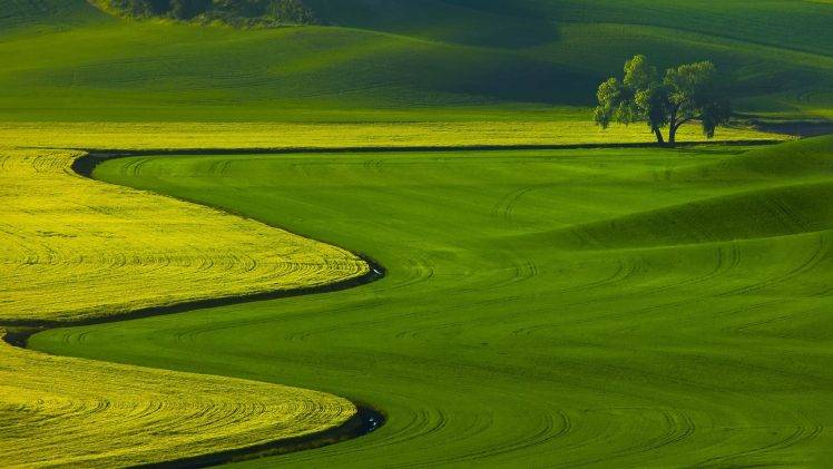nature, Landscape, Trees, Green, Field, Hill HD Wallpaper Desktop Background