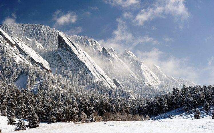 snow, Colorado, USA, Nature, Landscape, Mountain, Pine Trees, Forest, Winter, Trees HD Wallpaper Desktop Background