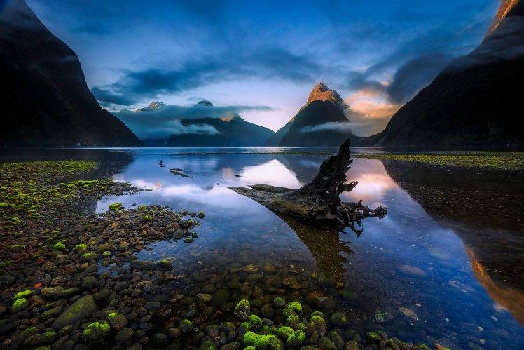 nature, Landscape, Water, Clouds, New Zealand, Lake, Dead Trees, Stones, Moss, Mountain, Reflection HD Wallpaper Desktop Background